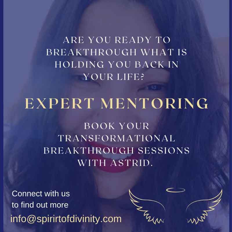 expert mentoring